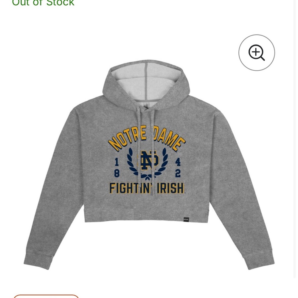 Notre Dame Gray Cropped Hoodie